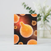 マラリアを引き起こすマラリア原虫概念像3 ポストカード (スタンド正面)