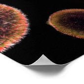 マラリアを引き起こすマラリア原虫概念像4 ポスター (角)