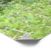 マラルダックオス ポスター (角)