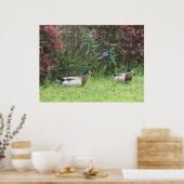 マラルダックオス ポスター (キッチン)