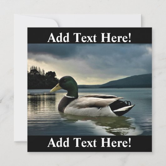 マラルダックオンザレイク 招待状 (正面)