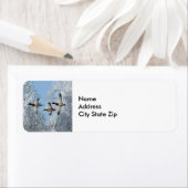 マラルダックス飛んでいるスノー写真 ラベル (インサイチュ)