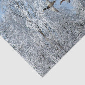 マラルダックス飛んでいるスノー写真 薄葉紙 (詳細)