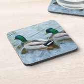 マラルダックス コースター (左側)