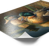 マラルダックス フォトプリント            (角)