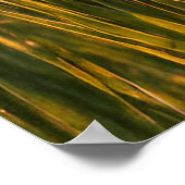 マラルダックス ポスター (角)