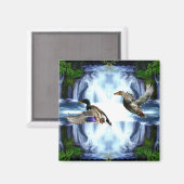 マラルダック マグネット (正面/裏面)