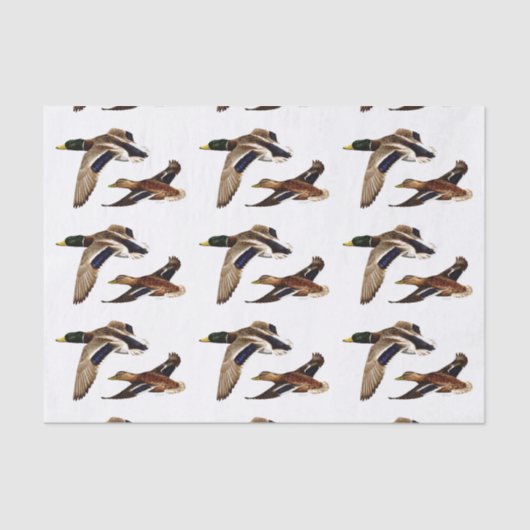 マラルダックU – ピック背景色 薄葉紙 (正面)