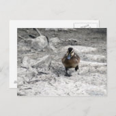 マラルドアクリングフォト ポストカード (正面/裏面)