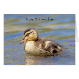 マラルドアクリング