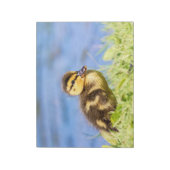 マラルドアクリング ノートパッド (回転)