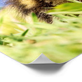 マラルドアクリング ポスター (角)