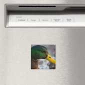 マラルドポートレート マグネット (インサイチュ (食洗機))