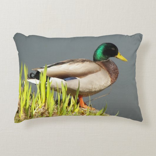 マラルド・ダック野生生物写真 アクセントクッション (正面)