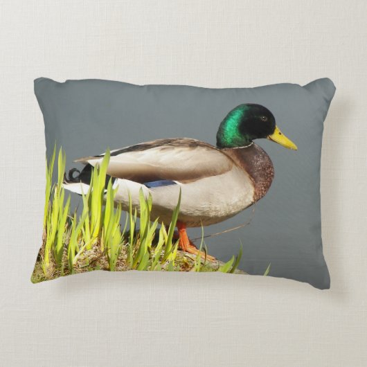 マラルド・ダック野生生物写真 アクセントクッション (裏面)