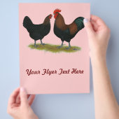 マランス ブラックコッパー チラシ (手)