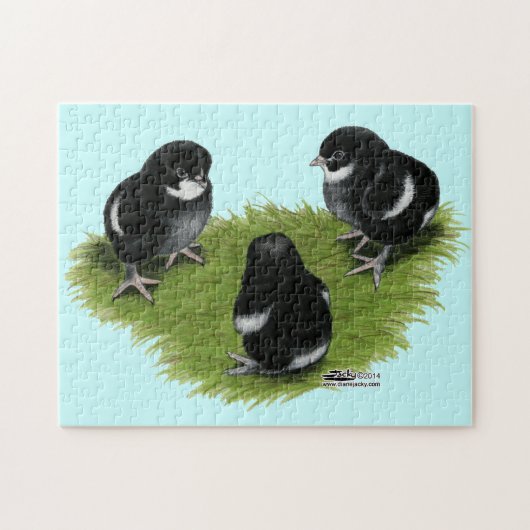 マランズブラック銅チックス ジグソーパズル (横)