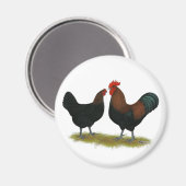 マランズブラック銅 マグネット (正面/裏面)