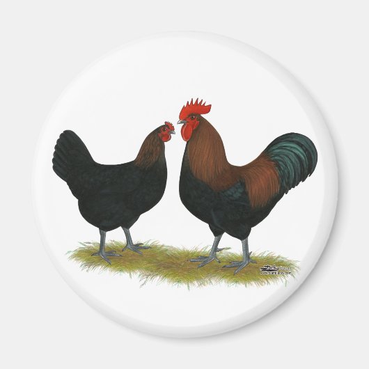 マランズブラック銅 マグネット (正面)