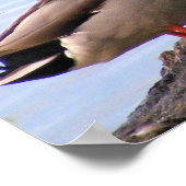 マラーズポスター ポスター (角)