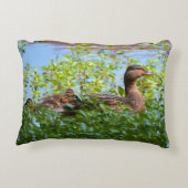 マラードとアヒル – スイミングby Shirley Taylor アクセントクッション (裏面)