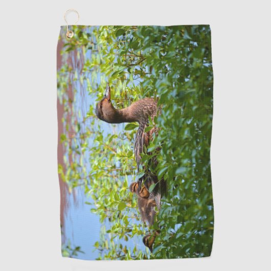 マラードとアヒル – スイミングby Shirley Taylor ゴルフタオル (正面)