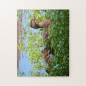 マラードとアヒル – スイミングby Shirley Taylor ジグソーパズル (縦)