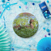 マラードとアヒル – スイミングby Shirley Taylor ペーパープレート (パーティー)