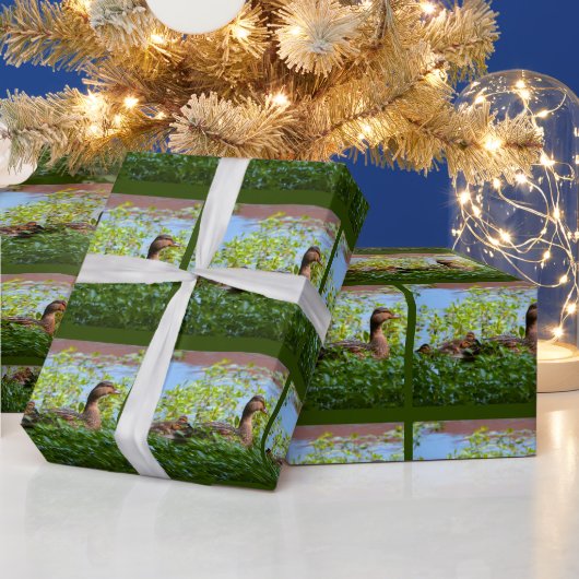 マラードとアヒル – スイミングby Shirley Taylor ラッピングペーパー (クリスマス)