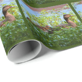 マラードとアヒル – スイミングby Shirley Taylor ラッピングペーパー (ロールコーナー)