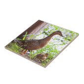 マラードとアヒルby Shirley Taylor タイル (側面)