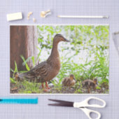 マラードとアヒルby Shirley Taylor 薄葉紙 (クラフト)