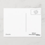 マラードのカップル ポストカード (裏面)