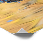 マラードのペア ポスター (角)