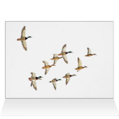 マラードの飛行 (内部横(上))