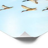 マラードの飛行 フォトプリント            (角)