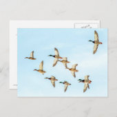 マラードの飛行 ポストカード (正面/裏面)