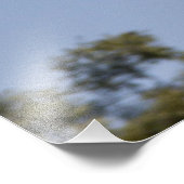 マラードアヒルが飛んでいる フォトプリント            (角)