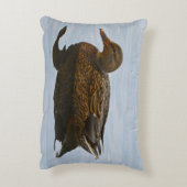 マラードアヒルの写真枕 アクセントクッション (裏面(縦))