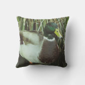 マラードアヒル写真オス湖ワイルドライフバード クッション (裏面)