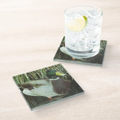 マラードアヒル写真水鳥自然バード ガラスコースター (アングル)