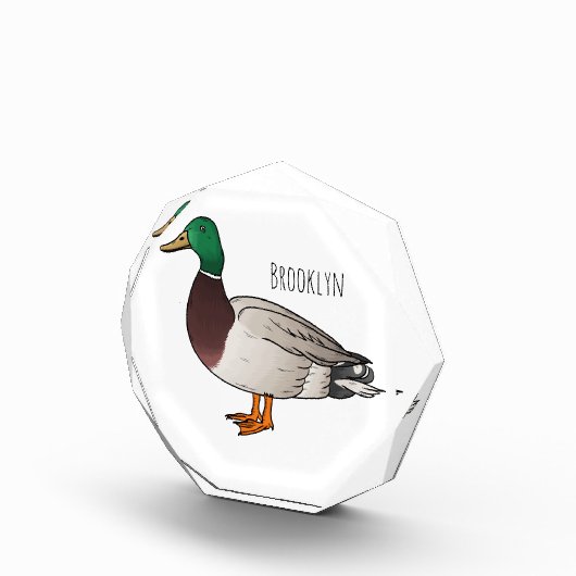 マラードアヒル漫画イラストレーション フォトブロック (右)