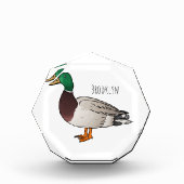 マラードアヒル漫画イラストレーション フォトブロック (正面)