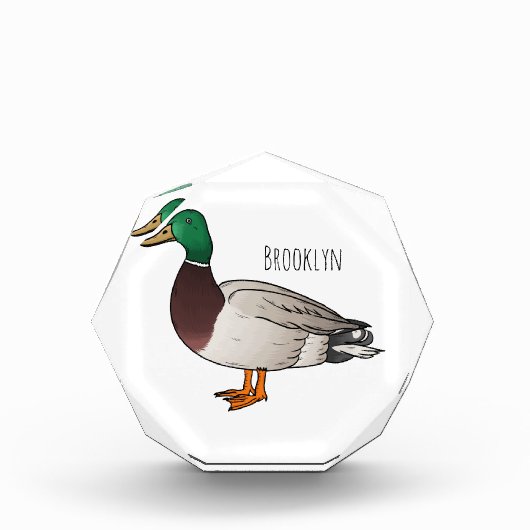 マラードアヒル漫画イラストレーション フォトブロック (正面)