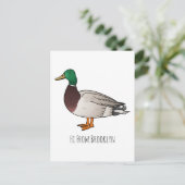 マラードアヒル漫画イラストレーション ポストカード (スタンド正面)