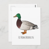 マラードアヒル漫画イラストレーション ポストカード (正面/裏面)