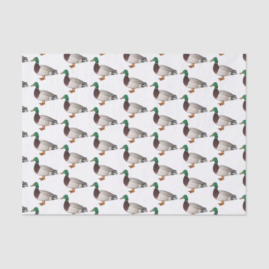 マラードアヒル漫画イラストレーション 薄葉紙 (正面)