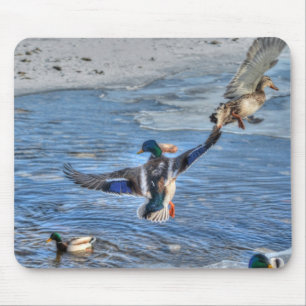 マラードアヒル野生生物写真鳥好き マウスパッド