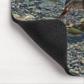 マラードアヒル野生生物写真鳥好き マウスパッド (コーナー)