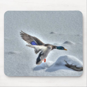 マラードアヒル野生生物写真鳥好き マウスパッド